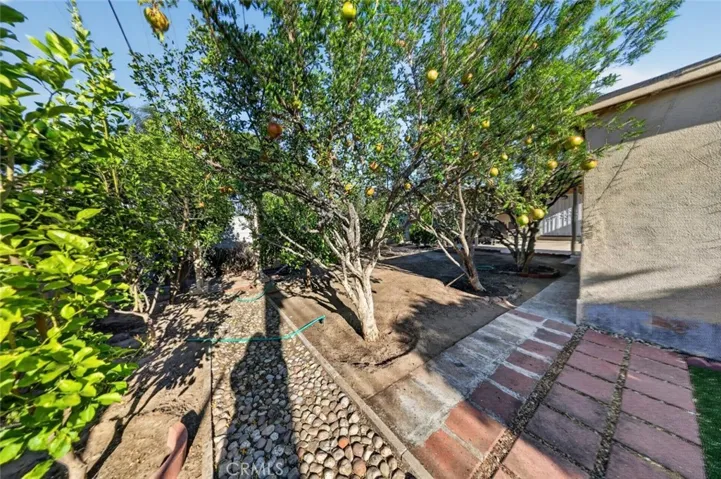 11407 Delano, North Hollywood, California 91606