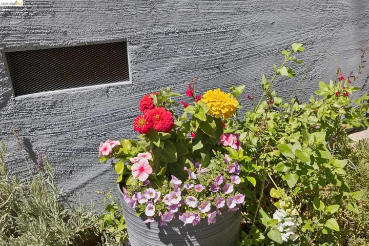 Textured stucco wall with a rectangular screened vent