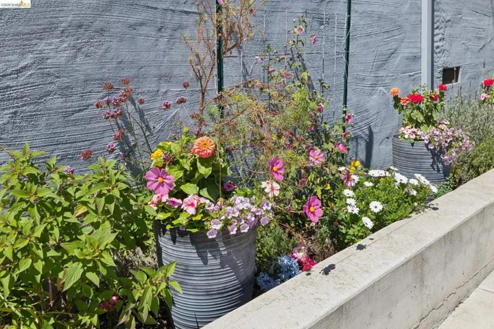 Planter boxes featuring a variety of colorful flowers and lush greenery against a textured wall