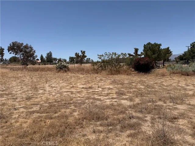12225 Lager, Phelan, California 92371