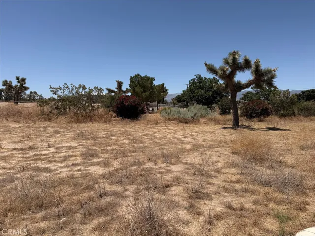 12225 Lager, Phelan, California 92371