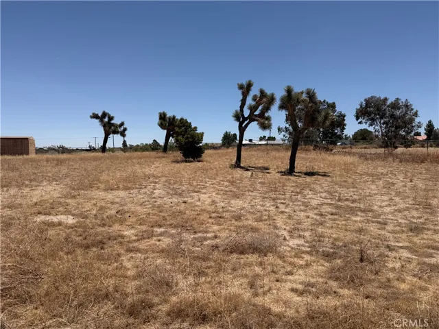 12225 Lager, Phelan, California 92371