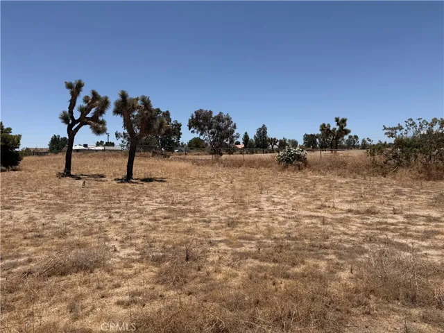 12225 Lager, Phelan, California 92371