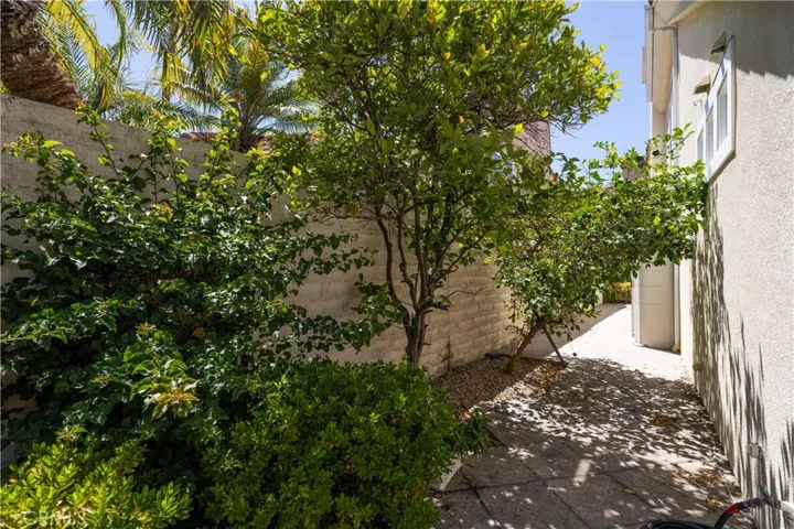 Side yard