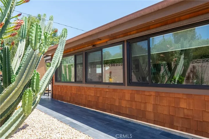 Wall of windows in the Lounge looking out into the cactus garden