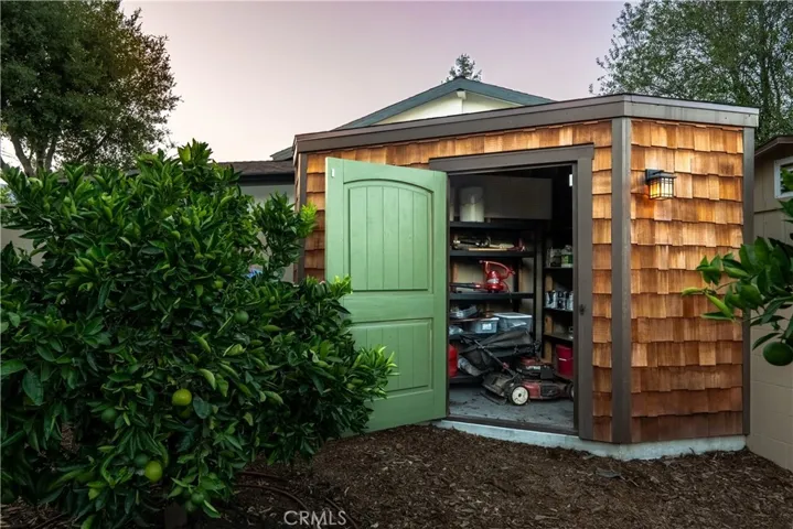 Large backyard shed