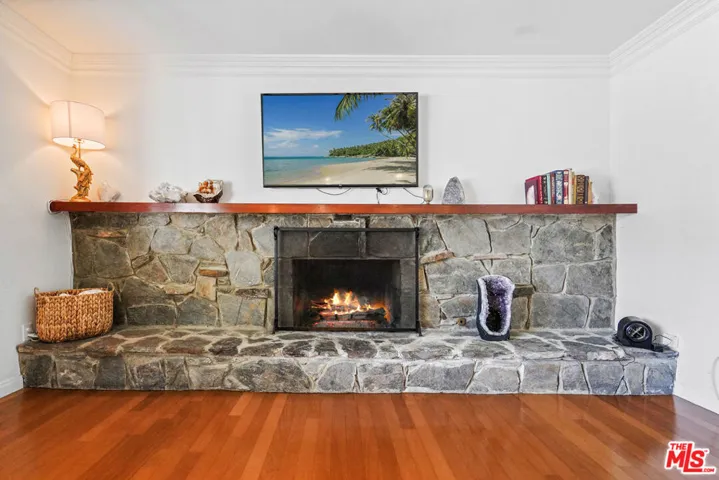 Wood burning Fireplace