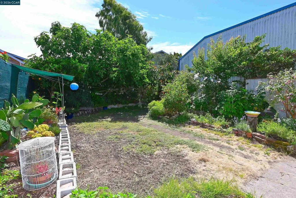 Duplex Backyard