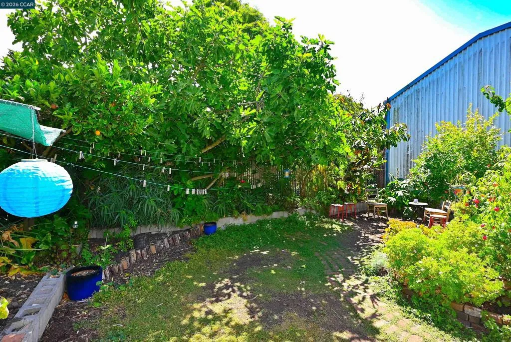 Duplex Backyard