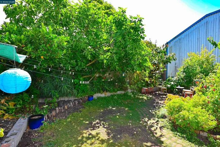 Duplex Backyard