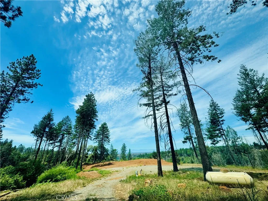 1400 Bader Mine, Paradise, California 95969 — photo 4