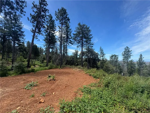 1400 Bader Mine, Paradise, California 95969