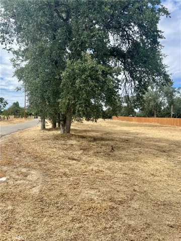 33831 Medford, Auberry, California 93602