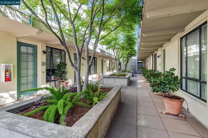 4395 Piedmont Ave P208, Oakland, California 94611