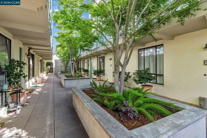 4395 Piedmont Ave P208, Oakland, California 94611