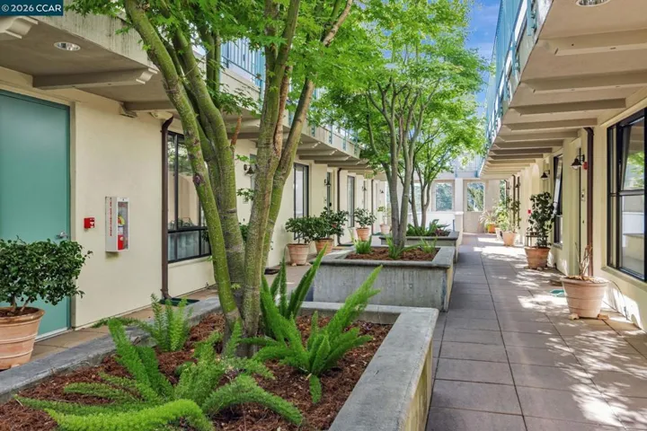 4395 Piedmont Ave P208, Oakland, California 94611
