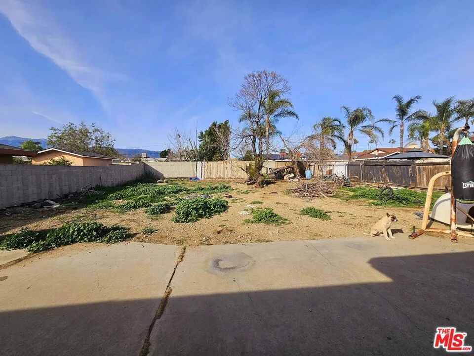 Backyard