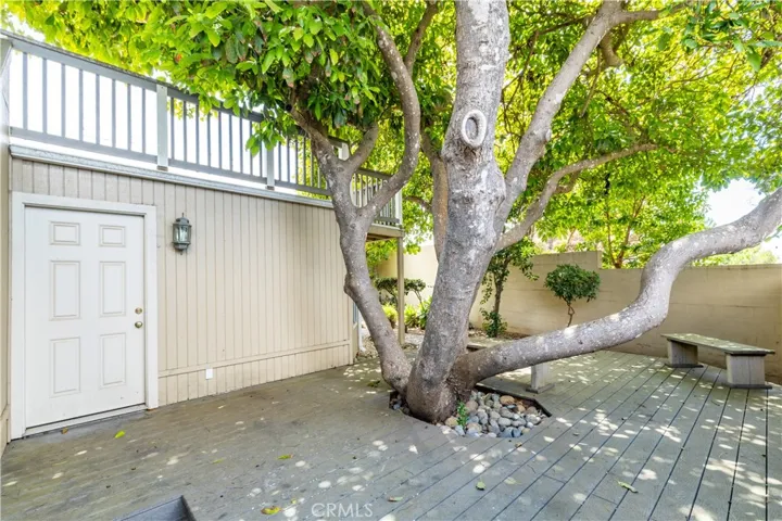 The backyard is anchored by a magnificent, mature avocado tree that provides natural shade and a unique focal point for the deck. This area also includes a convenient access door to a dedicated crawlspace/storage area