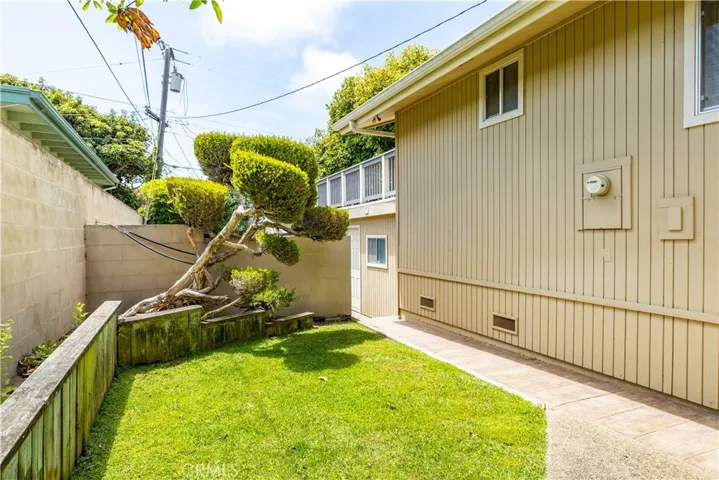 Side Yard- view 2