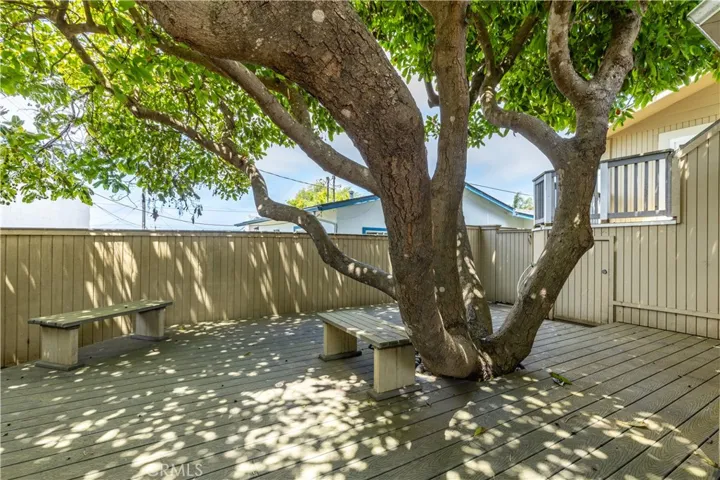 The backyard deck is shaded by the magnificent, mature avocado tree, creating a serene and natural retreat. Integrated benches offer the perfect spot to relax and enjoy the dappled shade and peaceful atmosphere beneath the canopy of this impressive centerpiece.