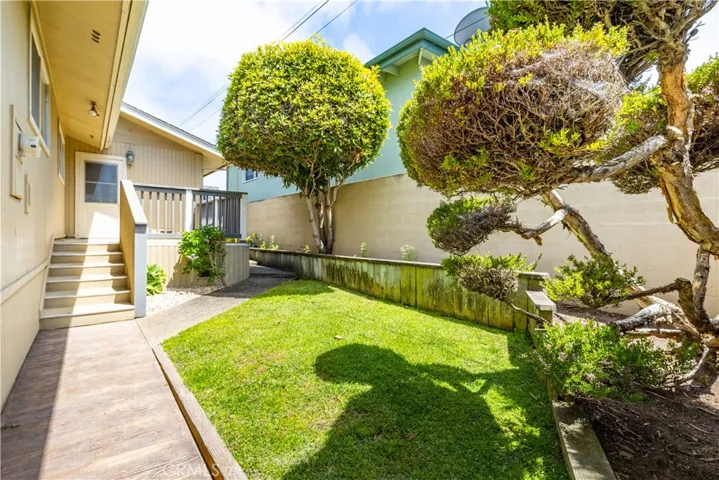Side Yard -view 1