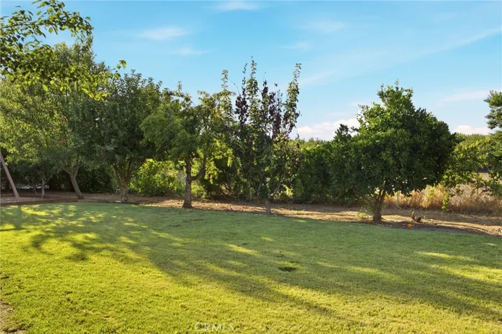 3676 Durham Dayton, Chico, California 95928