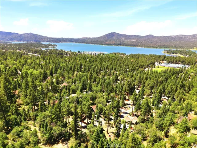 Drone visual