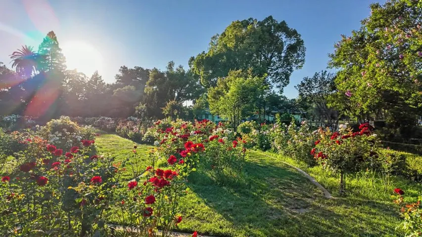 1303 39th Street, Sacramento, California 95816