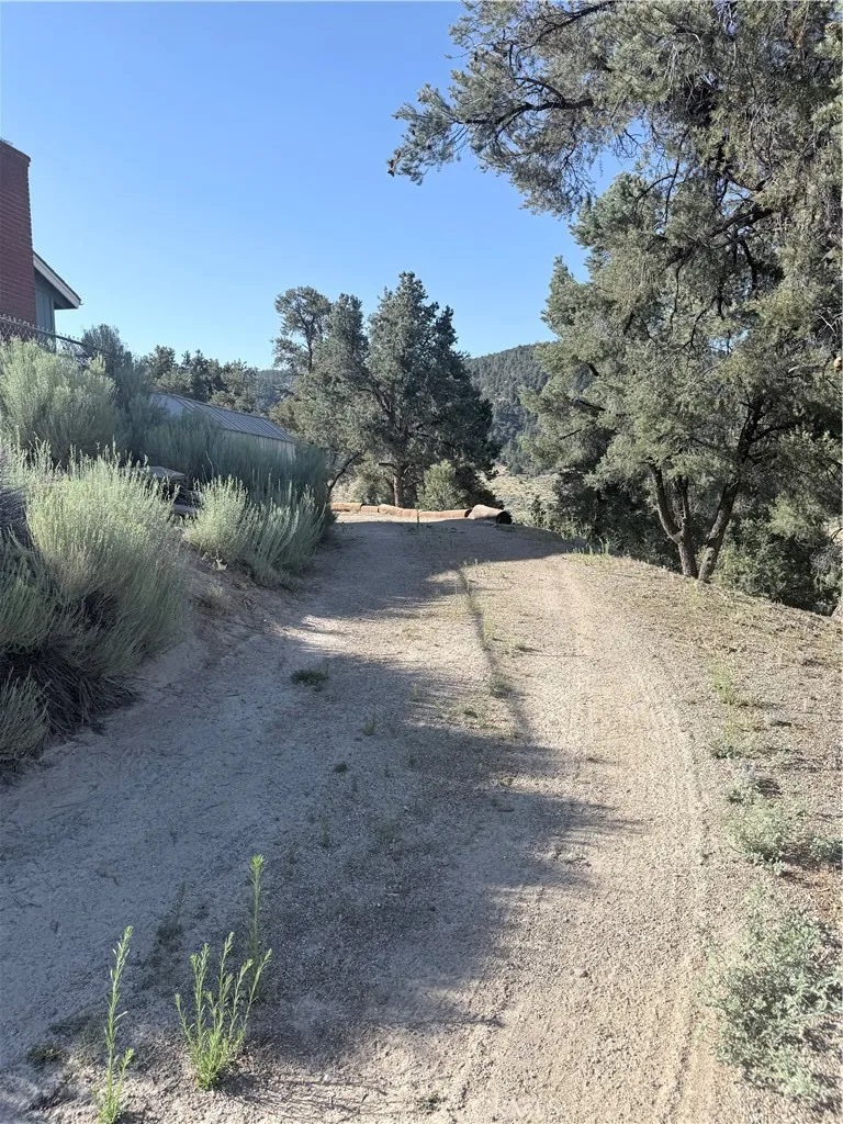 Circular driveway around the house