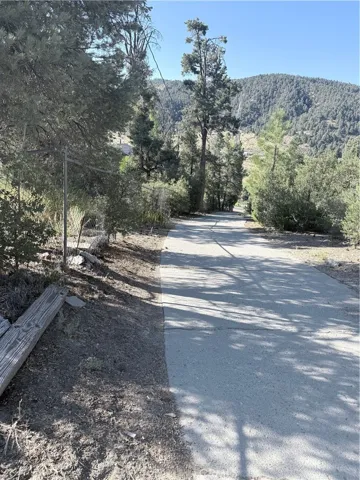 Driveway up from the main rd.