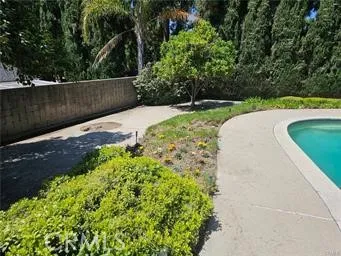 back yard