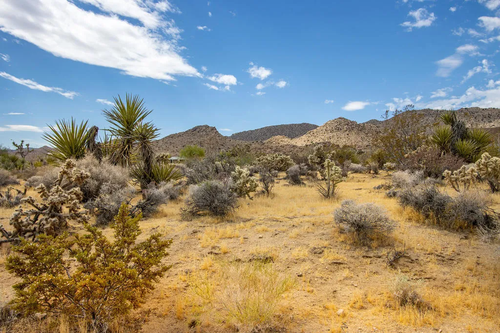 207 Onaga Trail, Joshua Tree, California 92252 — photo 4