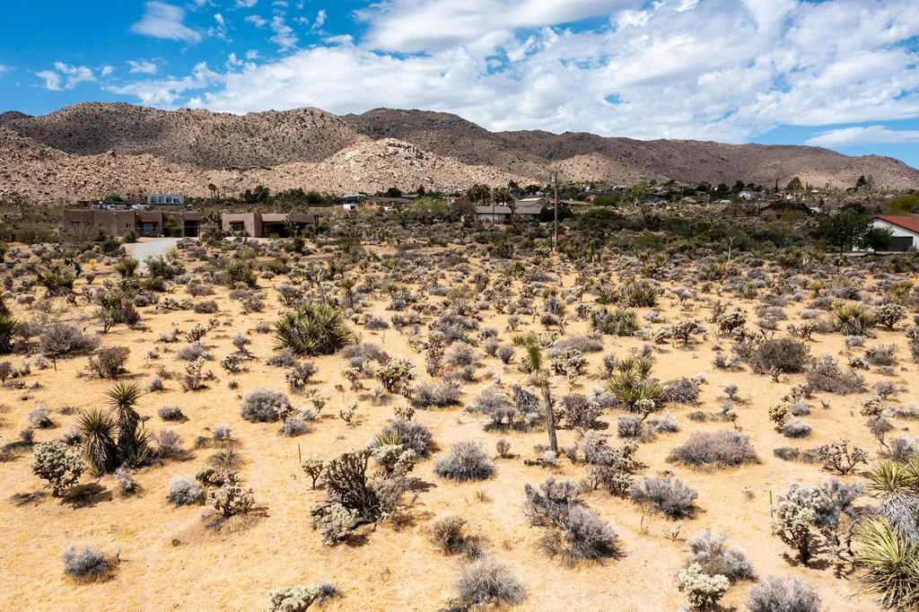 207 Onaga Trail, Joshua Tree, California 92252 — photo 5