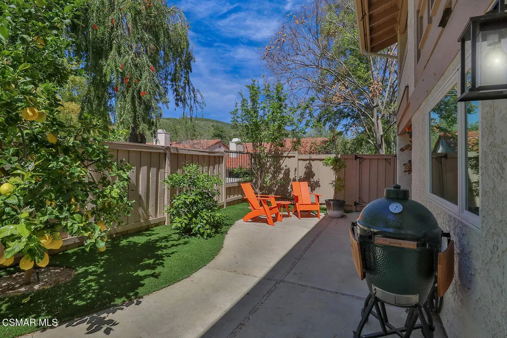 Backyard 1