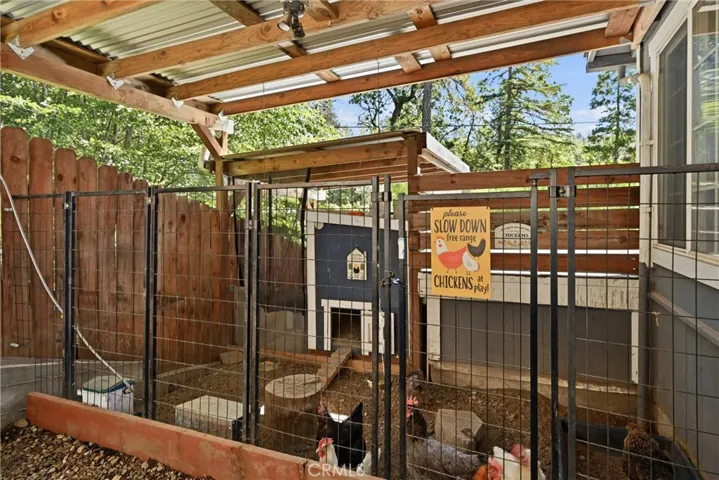 Chicken Coop