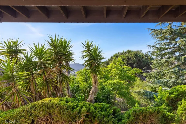 1232 La Paloma Glen, Escondido, California 92026