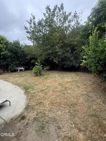 IMG_6325
