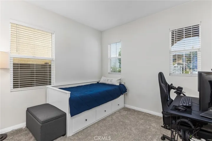 Downstairs bedroom has plenty of windows for natural sunlight, carpet and mirrored closet doors.