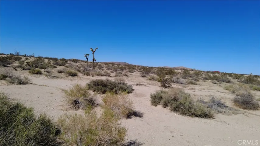 0 Campanula Street, Joshua Tree, California 92252