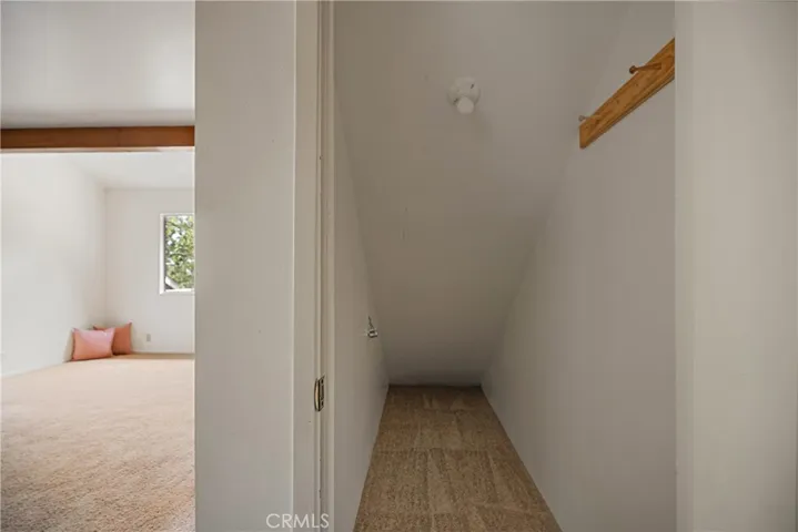 Storage closet under the stairs accessed from living area.