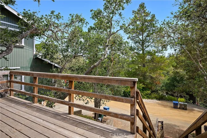 Another view of the trees and the deck.