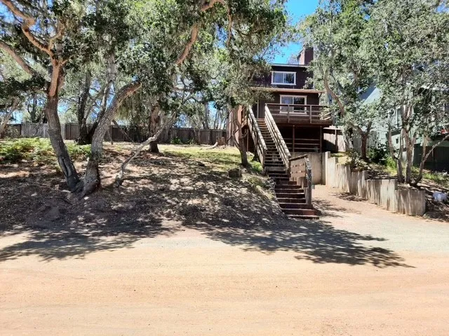 House sits amidst the trees. This photo shows the 2251 Sandown off street parking area to the right of the stairs. The additional 25 ft. lot parcel is located at the immediate left property line of the 2251 Sandown house. ***Please note there is a 3 lot parcel to the left of the extra 2251 Sandown lot that belongs to the neighbor that partially shows in this photo and is not for sale.