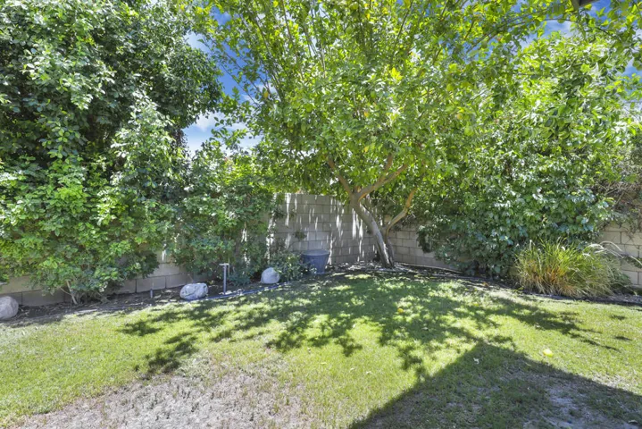 WaterlilyCir74616#29