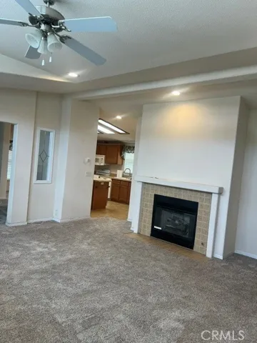 Beautiful Gas Fireplace in the Living Room