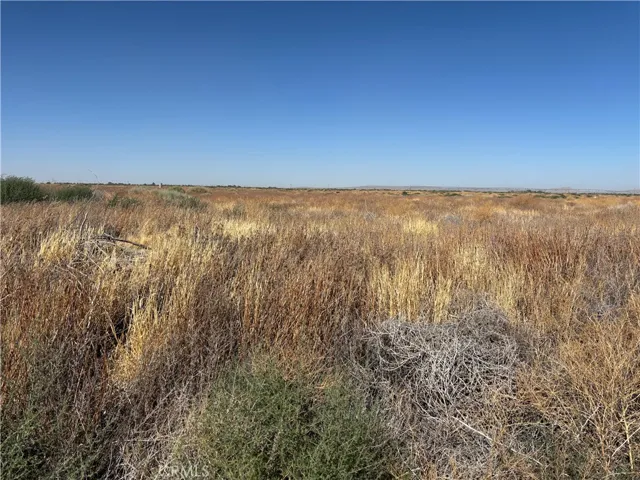 0 60th, Roosevelt, California 93535 — photo 4