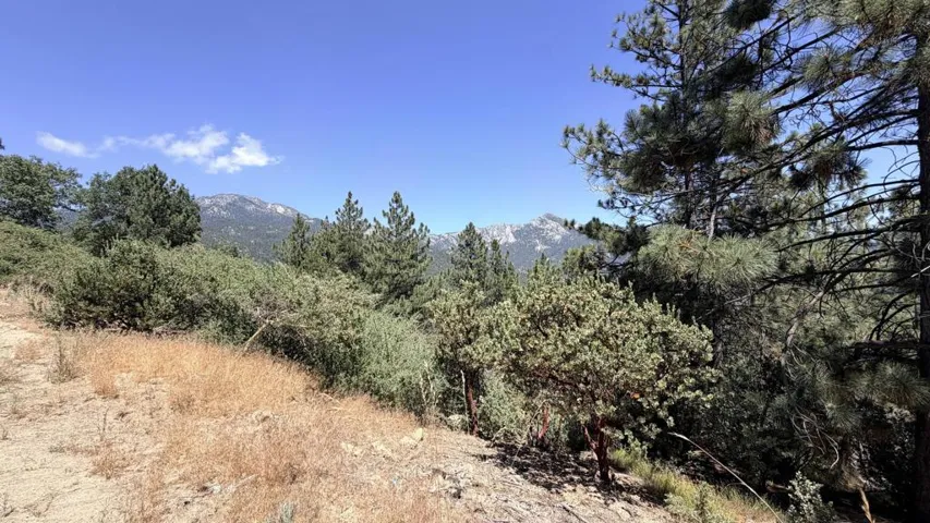0 Big Rock, Idyllwild, California 92549 — photo 5