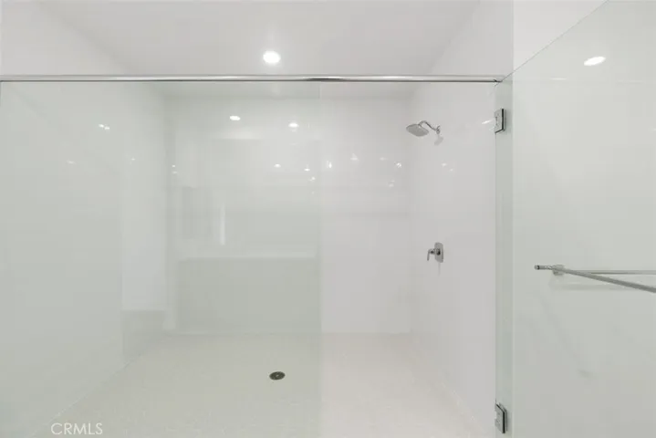 Primary Shower