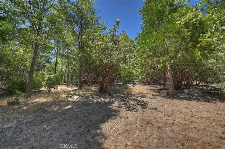499 Golf Course, Lake Arrowhead, California 92352