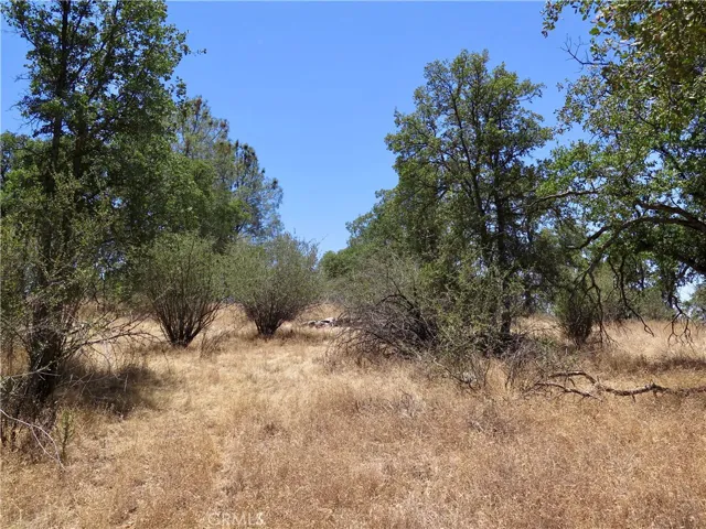 0 Ramblin Rd, Mariposa, California 95338