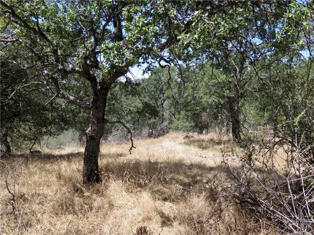 0 Ramblin Rd, Mariposa, California 95338